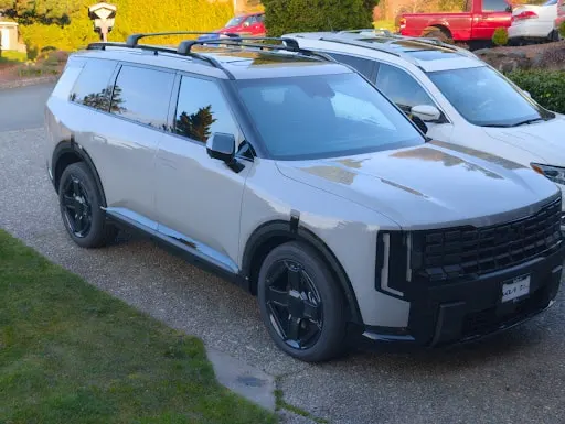 Gray Kia Telluride on the client's driveway